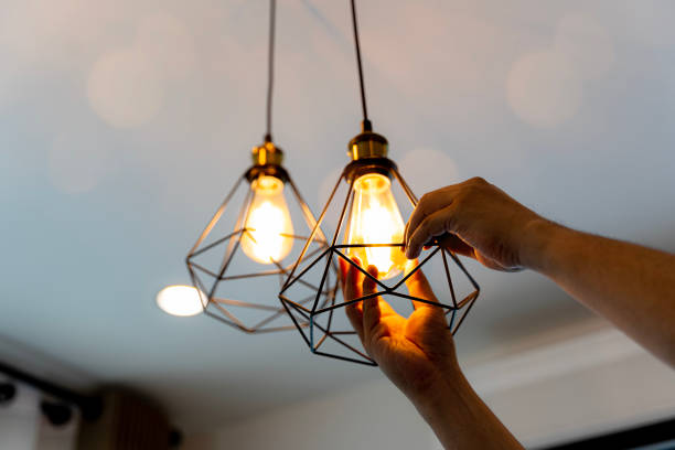 Best Outdoor Lighting Installation  in Bamberg, SC